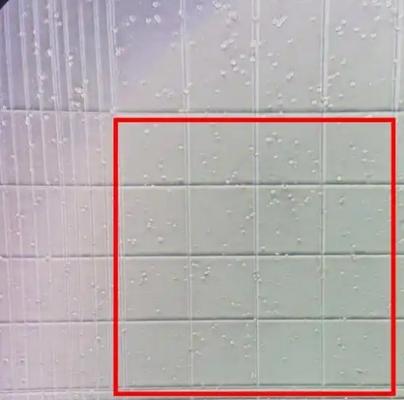 愛威ave-ma01m細(xì)胞計(jì)數(shù)板