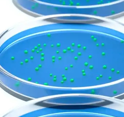 細(xì)胞培養(yǎng)基120g九翔