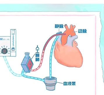 動態(tài)心肺音數(shù)據(jù)存儲傳輸軟件ld-hls理得