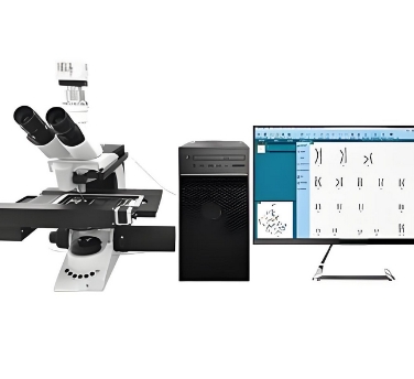 染色體顯微掃描儀瀾澈br-9001