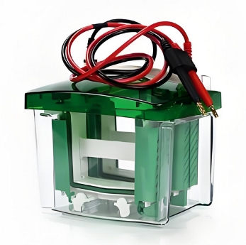 小型垂直電泳槽伯樂1658003代理價