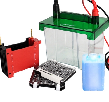 伯樂1703935小型轉(zhuǎn)印槽批發(fā)價