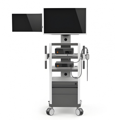 三維電子胸腹腔內(nèi)窺鏡wg-swdzxfqj-1030b直銷(xiāo)