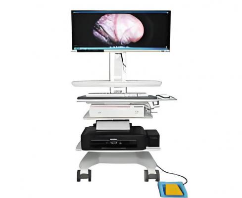 康基胸腹腔內(nèi)窺鏡 kj-4kicg-fqj1030 廠家