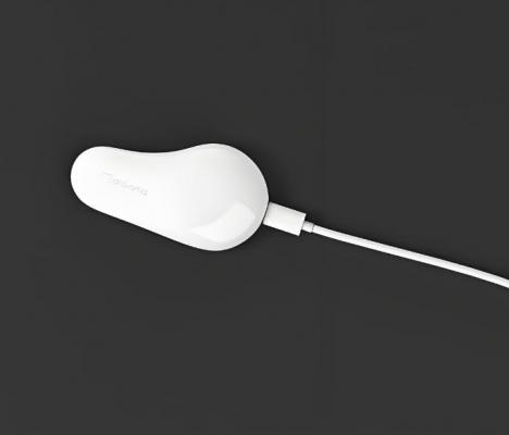 neuronaute穿戴式動(dòng)態(tài)腦電記錄儀 廠(chǎng)家