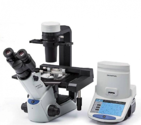 cx43熒光顯微鏡代理