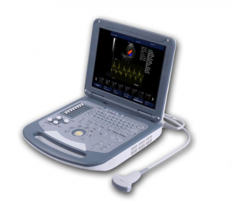 clover 60便攜式床邊彩超詢價(jià)