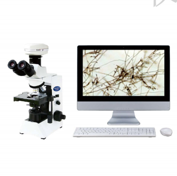 捷達(dá)科技醫(yī)學(xué)影像工作站軟件(真菌鏡檢)jd-801d